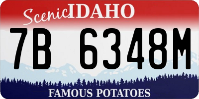 ID license plate 7B6348M