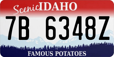 ID license plate 7B6348Z