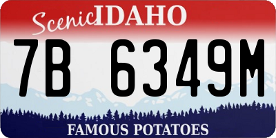 ID license plate 7B6349M