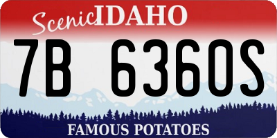 ID license plate 7B6360S