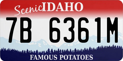 ID license plate 7B6361M