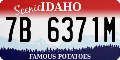 ID license plate 7B6371M