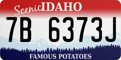 ID license plate 7B6373J