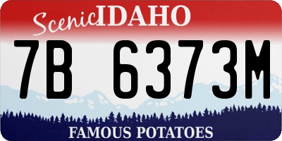 ID license plate 7B6373M