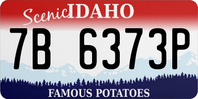 ID license plate 7B6373P