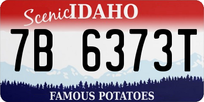 ID license plate 7B6373T