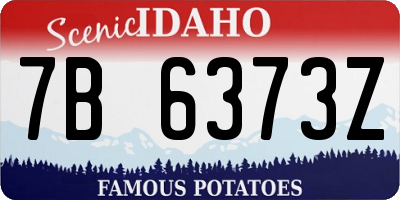 ID license plate 7B6373Z