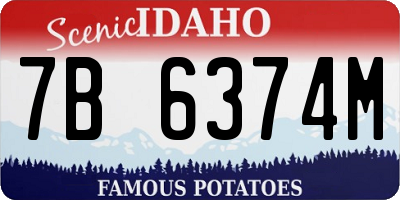 ID license plate 7B6374M