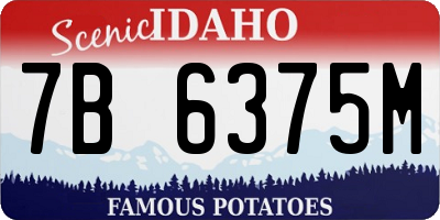 ID license plate 7B6375M