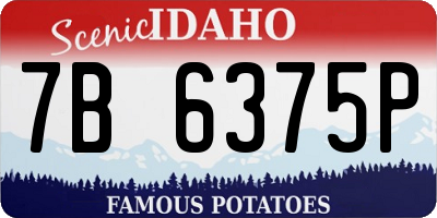 ID license plate 7B6375P
