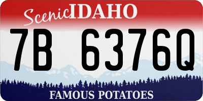 ID license plate 7B6376Q