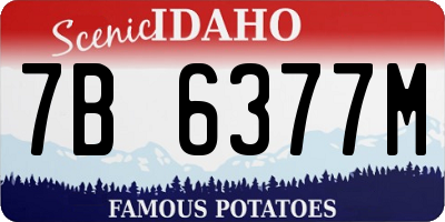 ID license plate 7B6377M