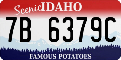 ID license plate 7B6379C