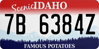 ID license plate 7B6384Z
