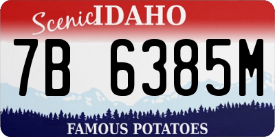 ID license plate 7B6385M