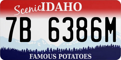 ID license plate 7B6386M