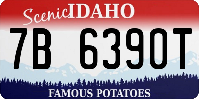 ID license plate 7B6390T