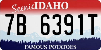 ID license plate 7B6391T