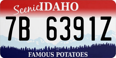 ID license plate 7B6391Z
