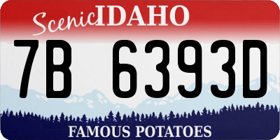 ID license plate 7B6393D