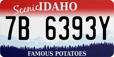 ID license plate 7B6393Y