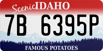 ID license plate 7B6395P