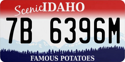 ID license plate 7B6396M