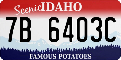 ID license plate 7B6403C