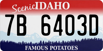 ID license plate 7B6403D