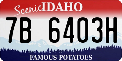 ID license plate 7B6403H