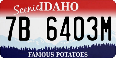 ID license plate 7B6403M