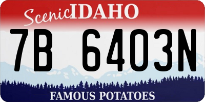 ID license plate 7B6403N