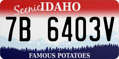 ID license plate 7B6403V