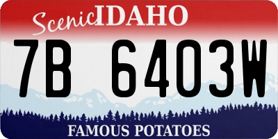 ID license plate 7B6403W