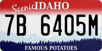 ID license plate 7B6405M