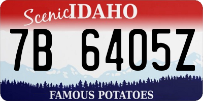 ID license plate 7B6405Z
