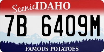 ID license plate 7B6409M