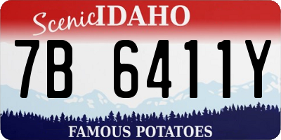 ID license plate 7B6411Y