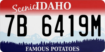 ID license plate 7B6419M