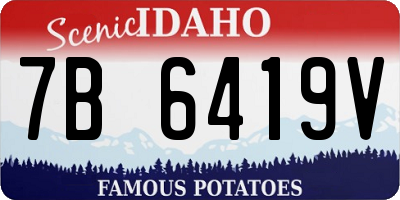 ID license plate 7B6419V