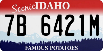 ID license plate 7B6421M