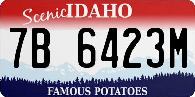 ID license plate 7B6423M