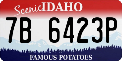 ID license plate 7B6423P