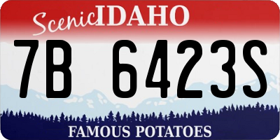 ID license plate 7B6423S