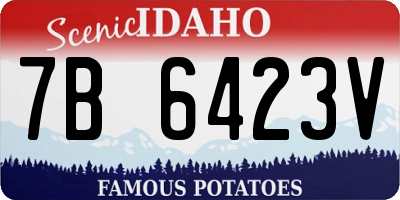 ID license plate 7B6423V