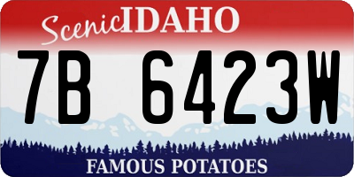 ID license plate 7B6423W