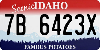 ID license plate 7B6423X