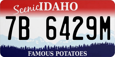 ID license plate 7B6429M