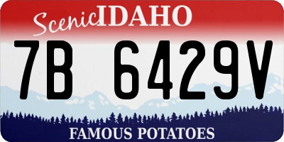 ID license plate 7B6429V