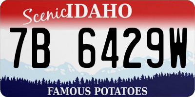 ID license plate 7B6429W